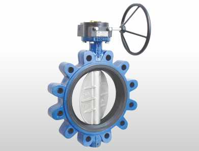 Rubber Lined Lug & Wafer Type Butterfly Valve Manufacturer